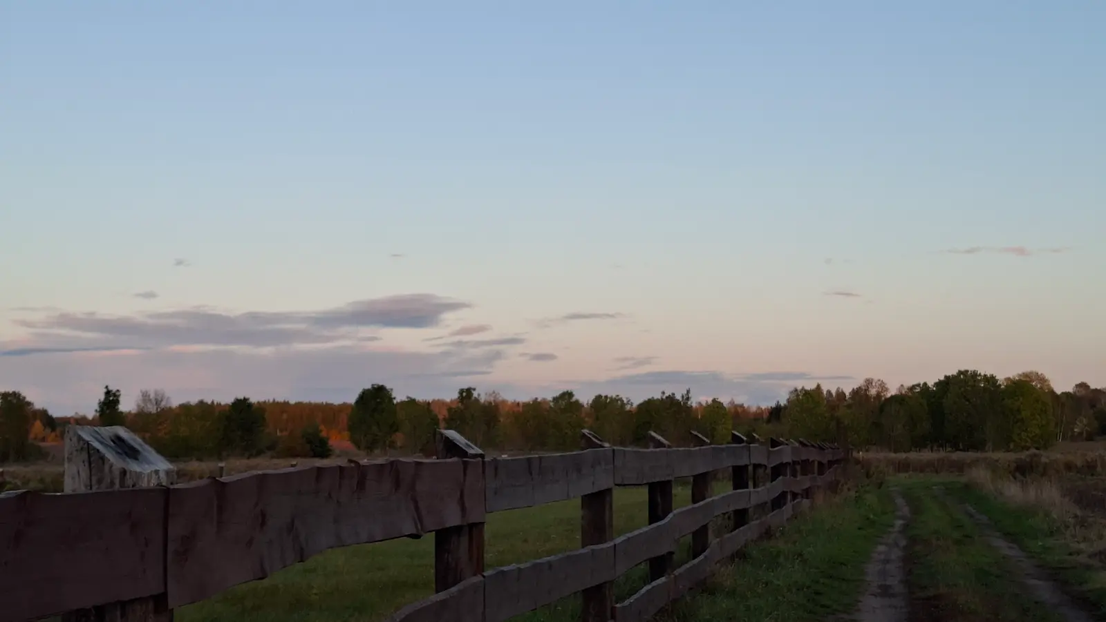 Zdjęcie przedstawia sielski krajobraz wiejski w formacie poziomym o proporcjach zbliżonych do 16:9, w którym głównym elementem kompozycyjnym jest długi, drewniany płot biegnący wzdłuż drogi gruntowej. Płot wykonany z ciemnych, poziomych desek zajmuje dolną część kadru, prowadząc wzrok widza w stronę horyzontu. Po prawej stronie widoczna jest polna ścieżka otoczona trawą, która kontrastuje z ciemnym ogrodzeniem. Tło wypełnia pasmo drzew o jesiennych barwach, skąpane w ciepłym świetle zachodzącego słońca, co dodaje scenie nostalgicznego charakteru. Całość domyka rozległe, spokojne niebo o pastelowych odcieniach błękitu i delikatnego różu, podkreślające wieczorową porę dnia.