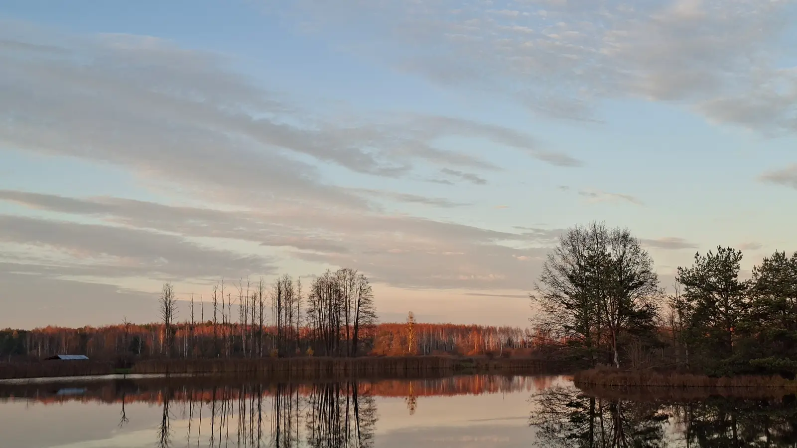 Krajobraz przedstawia spokojne jezioro o zachodzie słońca w poziomym formacie o proporcjach 16:9. Na pierwszym planie widoczna jest gładka tafla wody, w której idealnie odbijają się rosnące na brzegu drzewa i niebo. W tle rozciąga się pas lasu o jesiennym ubarwieniu, oświetlony ciepłym, pomarańczowym blaskiem zachodzącego słońca. Niebo jest wypełnione delikatnymi, podłużnymi chmurami, które kontrastują z pastelową kolorystyką wieczornej pory. Po prawej stronie kadru dominuje wysokie, rozłożyste drzewo, podczas gdy lewa strona ukazuje rząd smukłych, bezlistnych drzew oraz zarys niewielkiego budynku w oddali.
