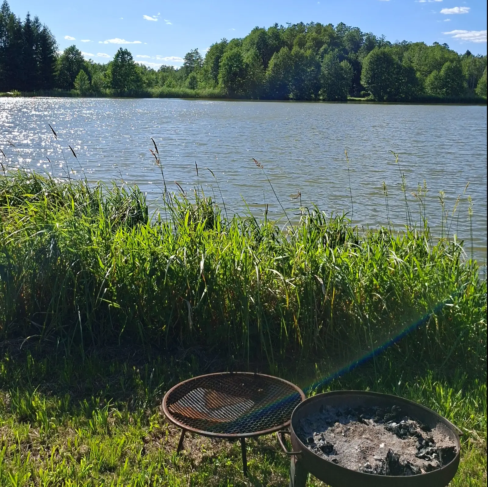 Zdjęcie w formacie kwadratowym przedstawia malowniczy letni krajobraz z jeziorem w tle, wypełnionym odbijającym słońce światłem. Na pierwszym planie, na zielonej murawie, znajdują się dwa okrągłe grille ogrodowe – jeden z metalowym rusztem, a drugi z widocznym popiołem pozostałym po ognisku. Wysokie, soczyście zielone trawy porastają brzeg jeziora, tworząc naturalną ramę dla wodnej tafli. W tle widoczny jest gęsty, liściasty las ciągnący się wzdłuż linii horyzontu pod czystym, błękitnym niebem. Całość kompozycji utrzymana jest w jasnej, słonecznej tonacji, która podkreśla relaksujący, wakacyjny charakter miejsca przeznaczonego do wypoczynku na łonie natury.